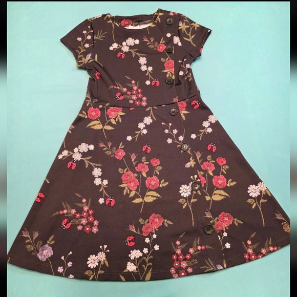 paola bimbi Other - Paola Bimbi Girls Floral Ladybug Dress Size 6